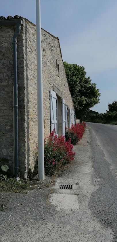 EARL Coulon & Fils, Vignoble à Saint-Pierre-d'Oléron