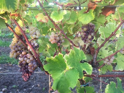 Ouvrier Agricole Viticole, Forêt, Espaces Verts - Preistavigne, Vignoble à Langon