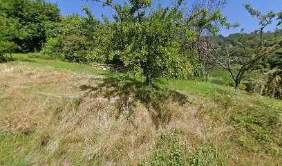 Bonjour Marc, Vignoble à Valfleury