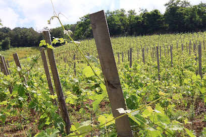 Maison Criner Estevan Vignoble à Seyssuel