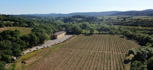 Domaine Croix De Félix, Vignoble à Vailhauquès