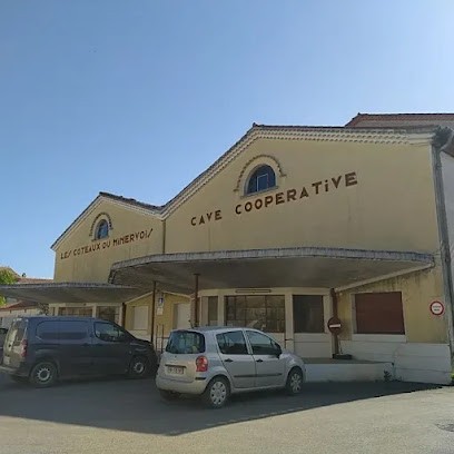Cave Coopérative Côteaux Du Minervois, Vignoble à Pépieux