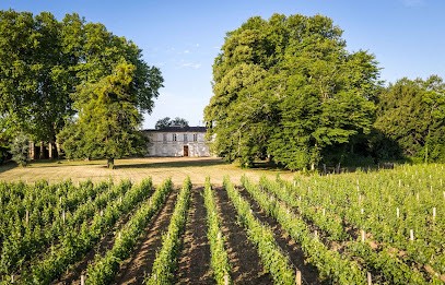 Château Rahoul, Vignoble à Portets