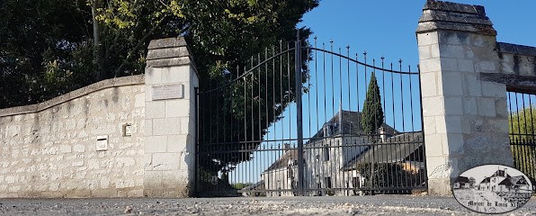 Domaine Des Forges - Vin De Chinon, Vignoble à Saint-Benoît-la-Forêt