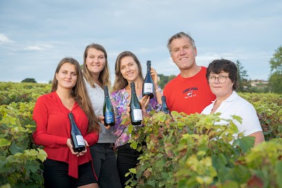 Champagne Godin & Filles, Vignoble à Berru