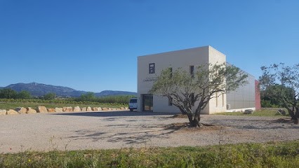 Domaine De L'Argenteille, Vignoble à Saint-Félix-de-Lodez