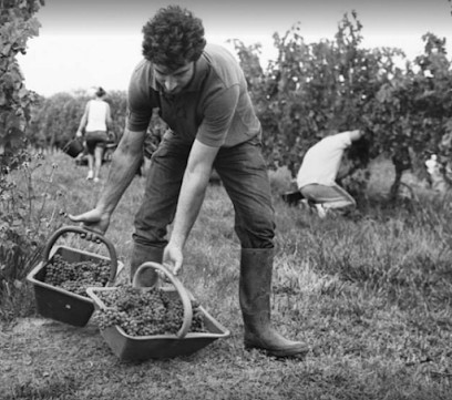Combrillac, Vignoble à Prigonrieux