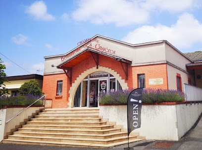 Champagne Beaumont Des Crayeres, Vignoble à Mardeuil