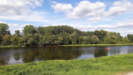 Renard Michel, Vignoble à Rivière