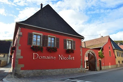 Vins NICOLLET Gérard & Fils, Vignoble à Soultzmatt