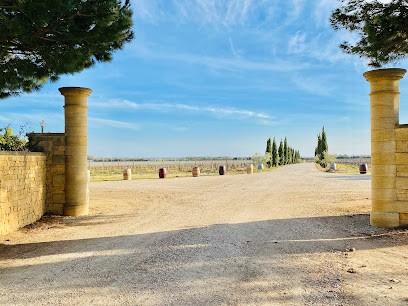 Château Saint-Cyrgues, Vignoble à Saint-Gilles