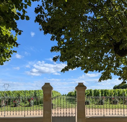 Château BruleSécaille, Vignoble à Tauriac