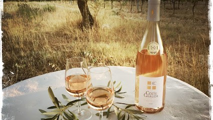 Domaine De Coste Chaude, Vignoble à Visan