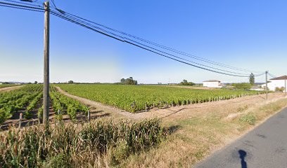 DOMAINE DES MAISONS NEUVES, Vignoble à Saint-Lager