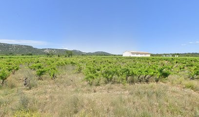 Mas Picas, Vignoble à Corconne