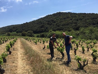 Balansa, Vignoble à Villeneuve-les-Corbières