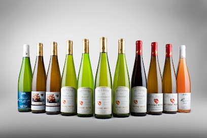 Vins D'Alsace Gilbert Meyer, Vignoble à Voegtlinshoffen