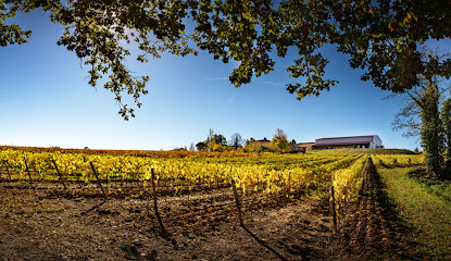 Domaine Du Grand Chêne - Vins De Gaillac Vignoble à Senouillac