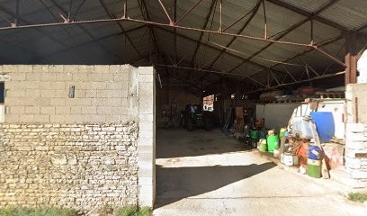 Earl Poinsot, Vignoble à Thorey