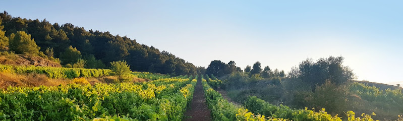Prieuré Sainte Marie D'albas Vignoble à Moux