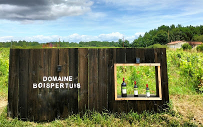 Chateau - Domaine Boispertuis Vignoble à Queyrac