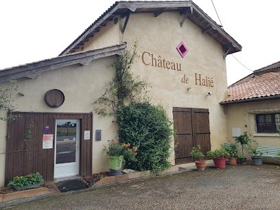 Chateau de Halié, Vignoble à Loupiac-de-la-Réole