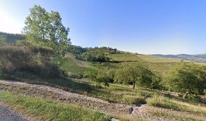 Domaine De Milhomme EARL, Vignoble à Ternand