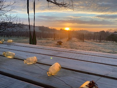 Domaine Du Verdier - Alexandre Thenard, Vignoble à Saint-Jean-de-Duras