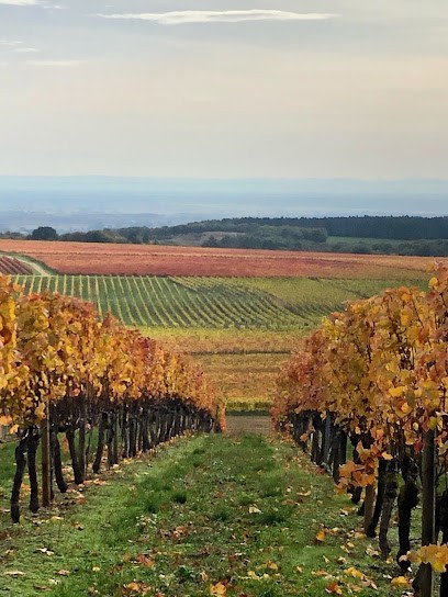 Domaine Bonnardot, Vignoble à Villers-la-Faye