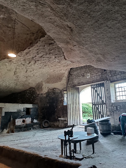 Cave Fort, Vignoble à Tourtenay