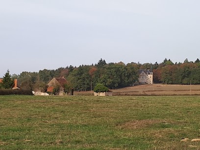 Chateau du Martret, Vignoble à Pouilloux
