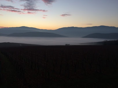 Paul Kubler, Vignoble à Soultzmatt