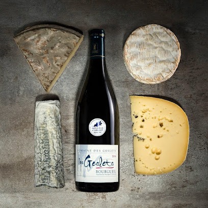 Vincent GRÉGOIRE - Bourgueil, Vignoble à Bourgueil