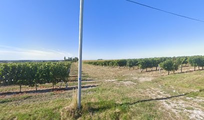 Pillet Alain, Vignoble à Rouffignac