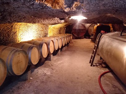 Cave Jumert - Vigneron Indépendant, Vignoble à Villiers-sur-Loir