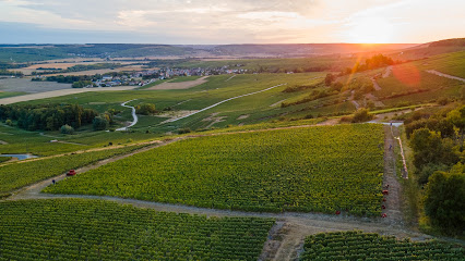 Champagne Xavier Leconte Vignoble à Troissy
