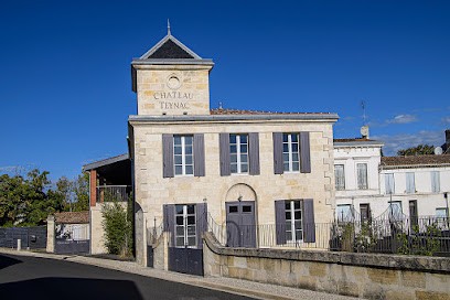 Château Teynac, Vignoble à Saint-Julien-Beychevelle