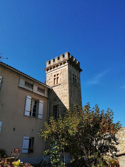 Château Tour Bicheau, Vignoble à Portets