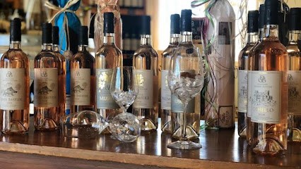 Domain Grande Bastide, Vignoble à Tourrettes