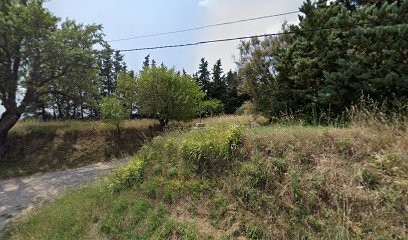 Mevius Inc, Vignoble à Pertuis