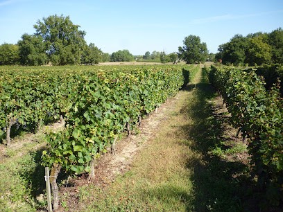 Château Les Millards, Vignoble à Saint-Vivien-de-Blaye