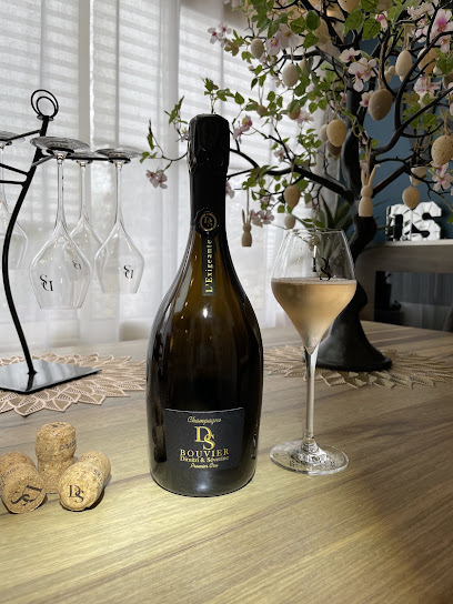 Champagne Ds Bouvier Vignoble à Villers-Allerand