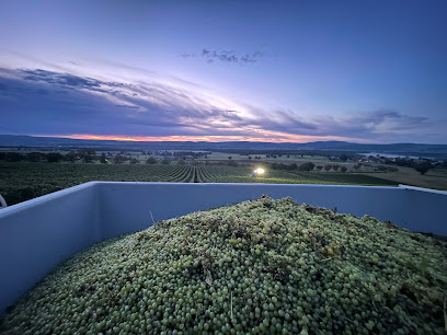 Vins Château D'uxelles, Vignoble à Savigny-sur-Grosne