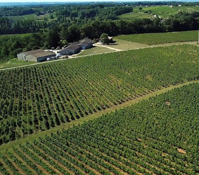 Château Roquevieille, Vignoble à Saint-Philippe-d'Aiguille