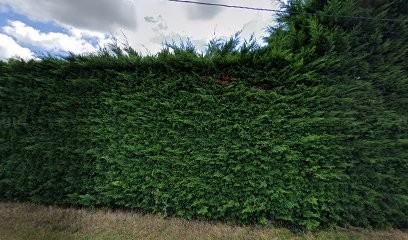 Domaine Vadé, Vignoble à Saumur