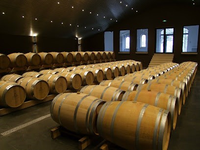 SCEA Les Demoiselles, Vignoble à Saint-Magne-de-Castillon