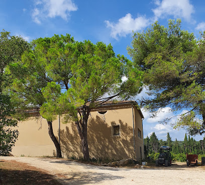 Henri De Lanzac Scea Vignoble à Lirac