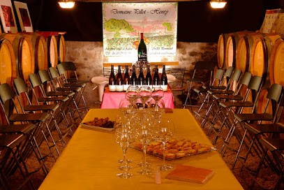 Earl Pillot-henry, Vignoble à Comblanchien