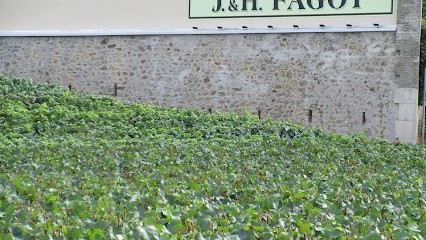 Champagne J&H FAGOT, Vignoble à Rilly-la-Montagne