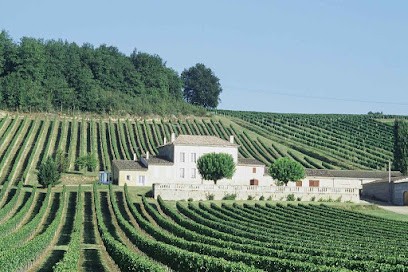 Château de Chainchon - Vignobles Erésué, Vignoble à Castillon-la-Bataille